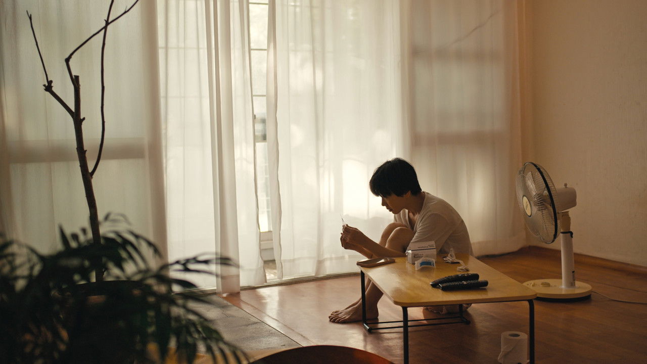 My neighbor baby backdrop