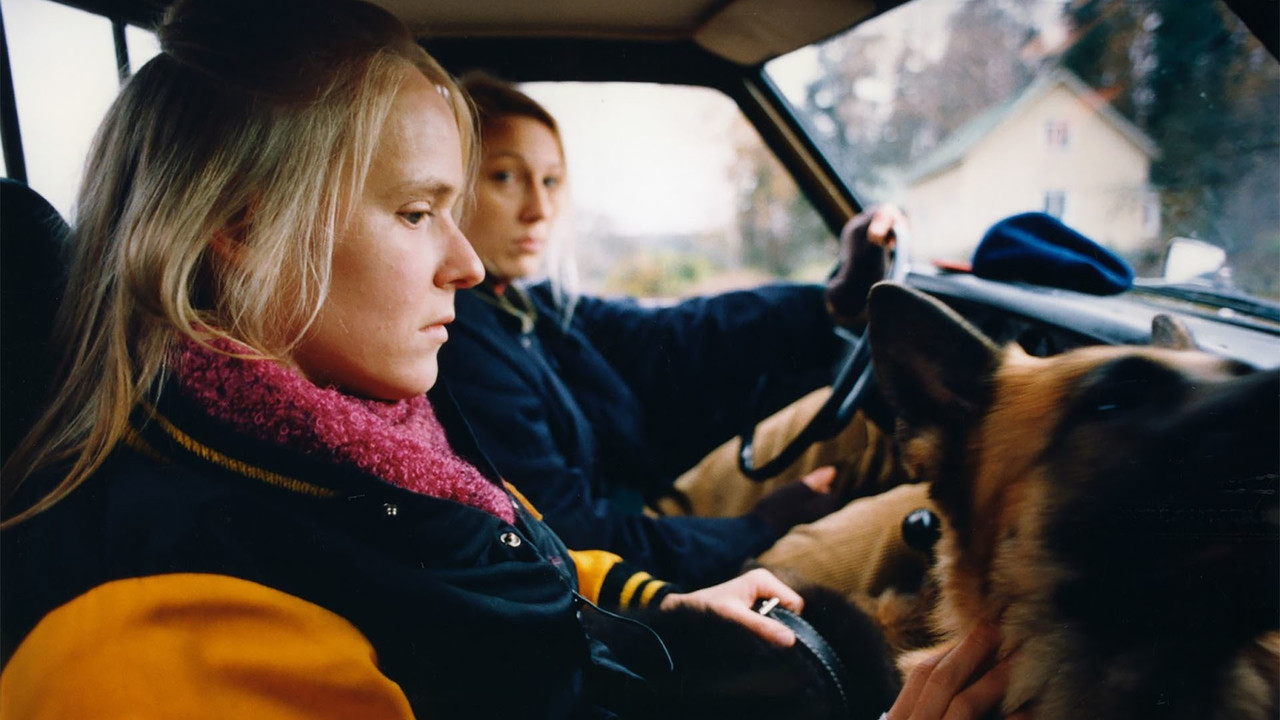 The Collector backdrop