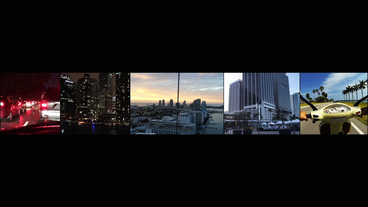 Miami In Movements backdrop