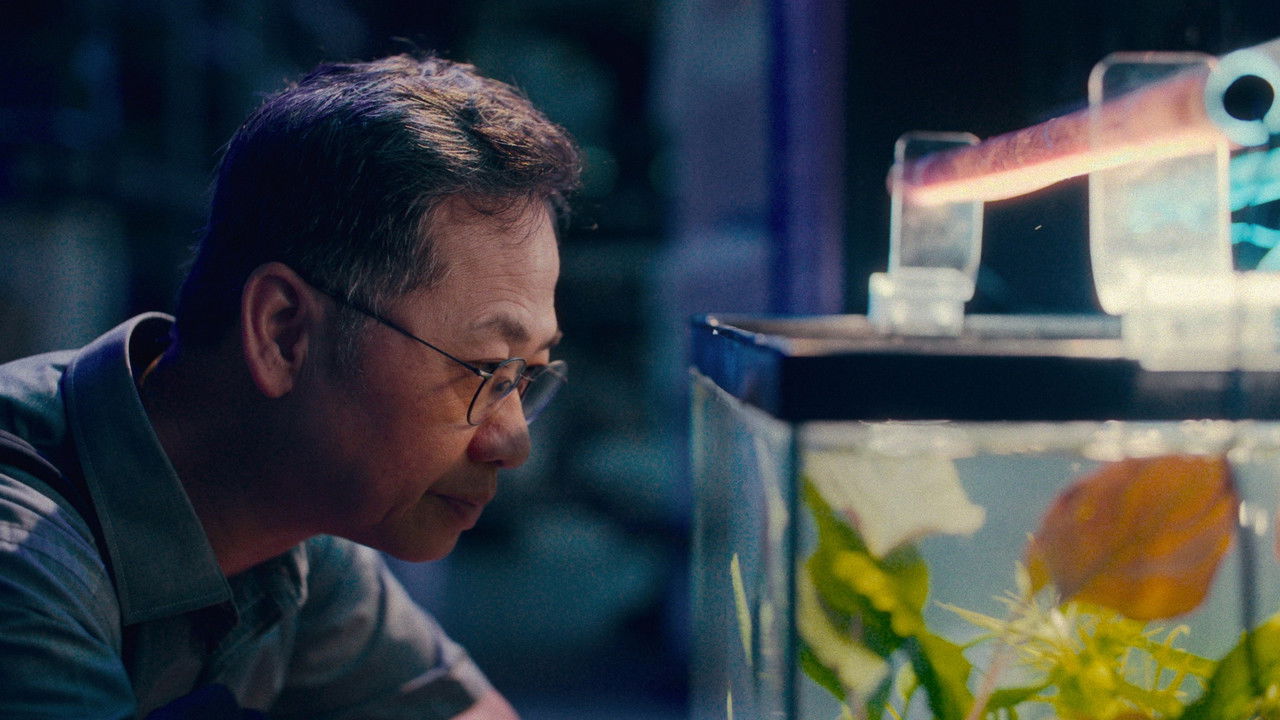 Undercurrent - 暗流 backdrop