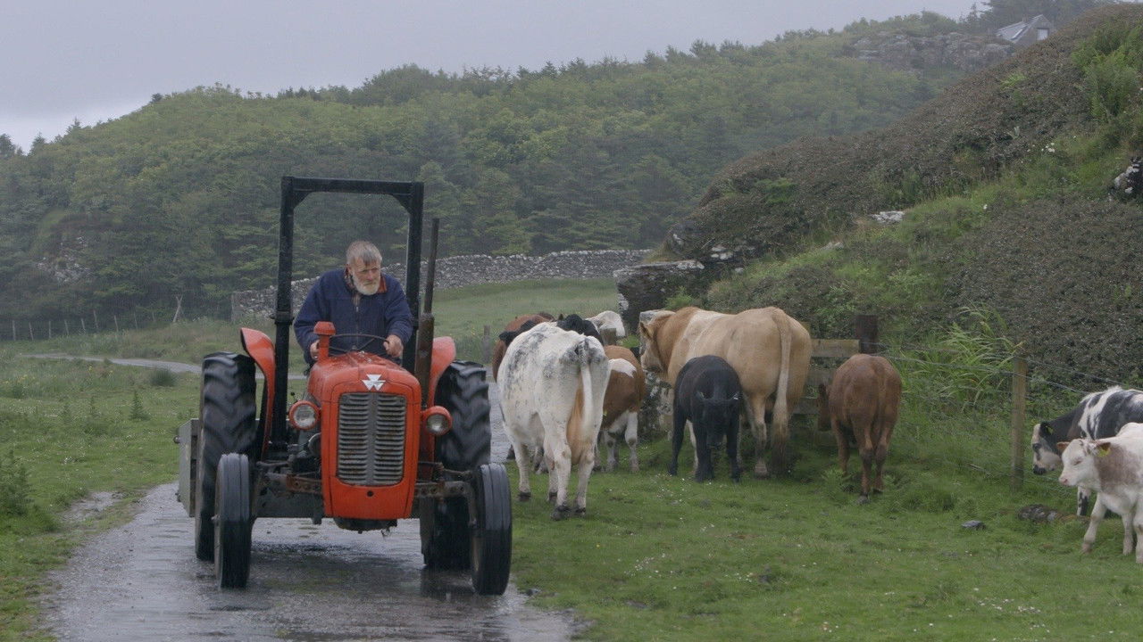 Prince of Muck backdrop