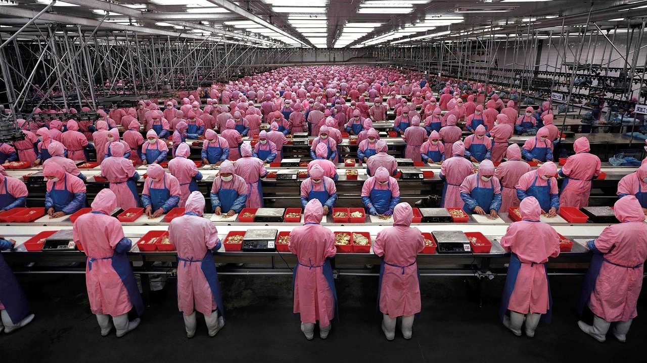 Manufactured Landscapes backdrop