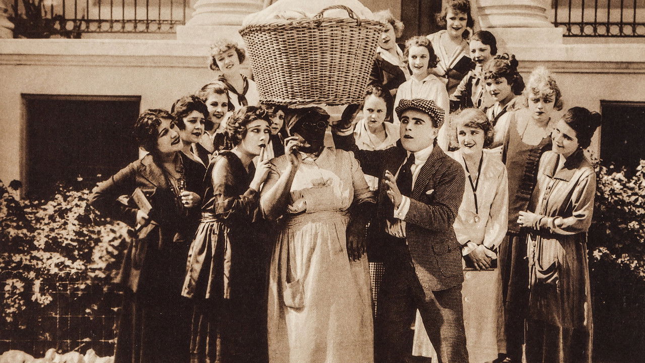 Whose Baby? backdrop