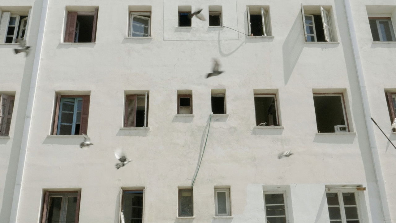 Forget Alberto for Now backdrop