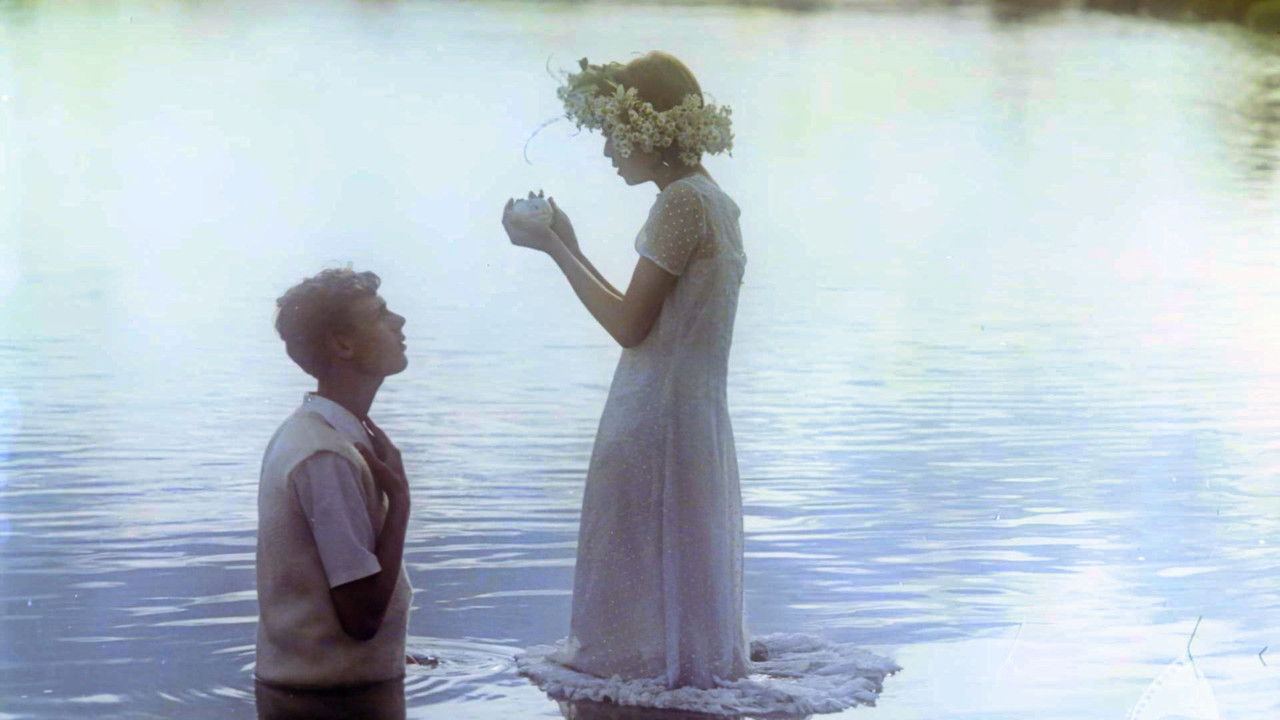 Chronicle of Amorous Accidents backdrop