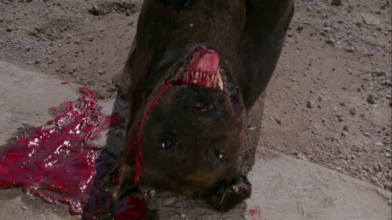 The Big Dead Dog backdrop