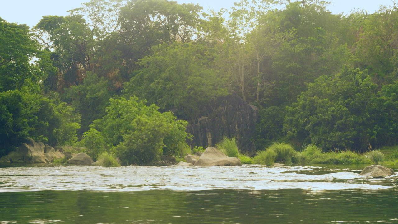 The Tale of a Rainbow Fish backdrop