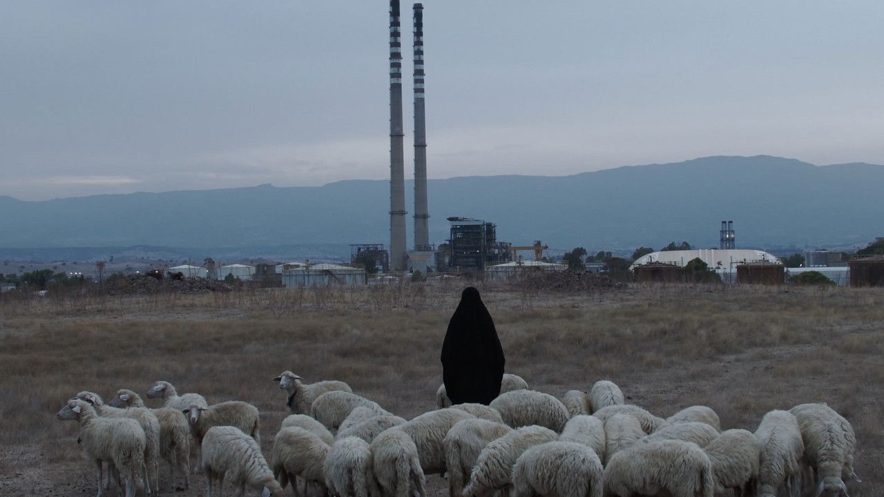 Anime Galleggianti backdrop