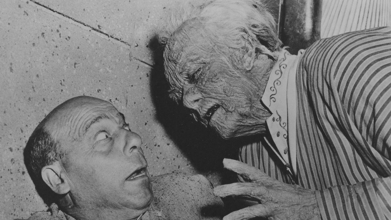 Pharaoh's Curse backdrop