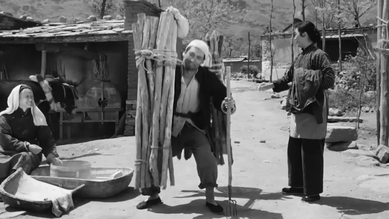 龙马精神 backdrop