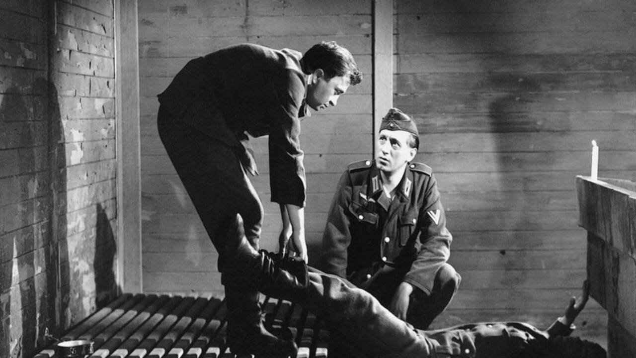 Duped Till Doomsday backdrop