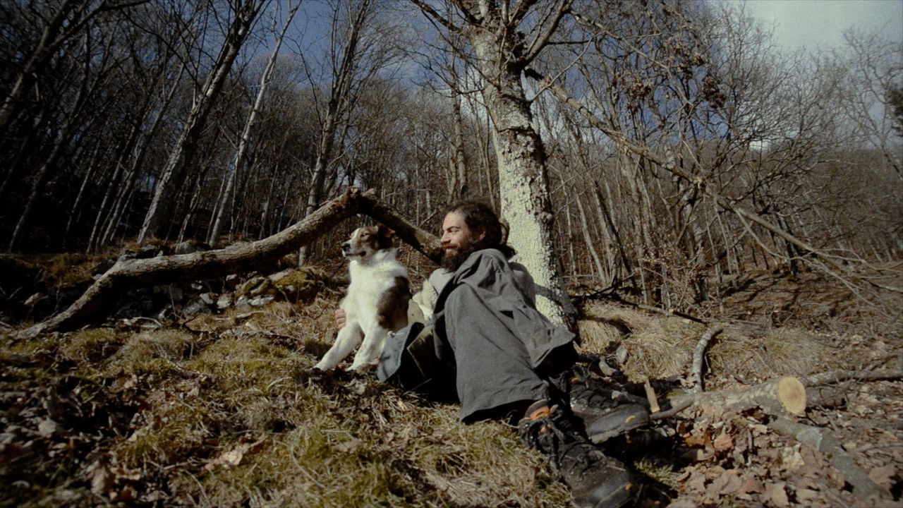 Homo Humilis backdrop