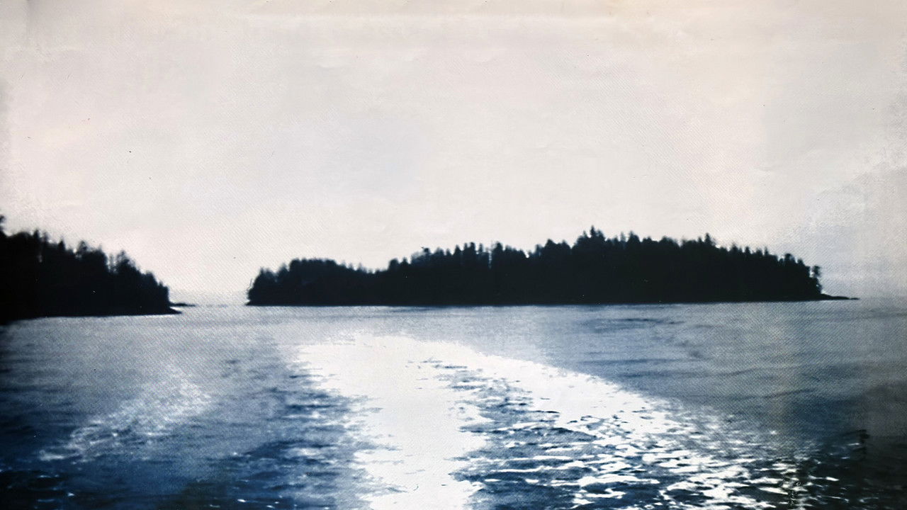 Misty Isle Out backdrop