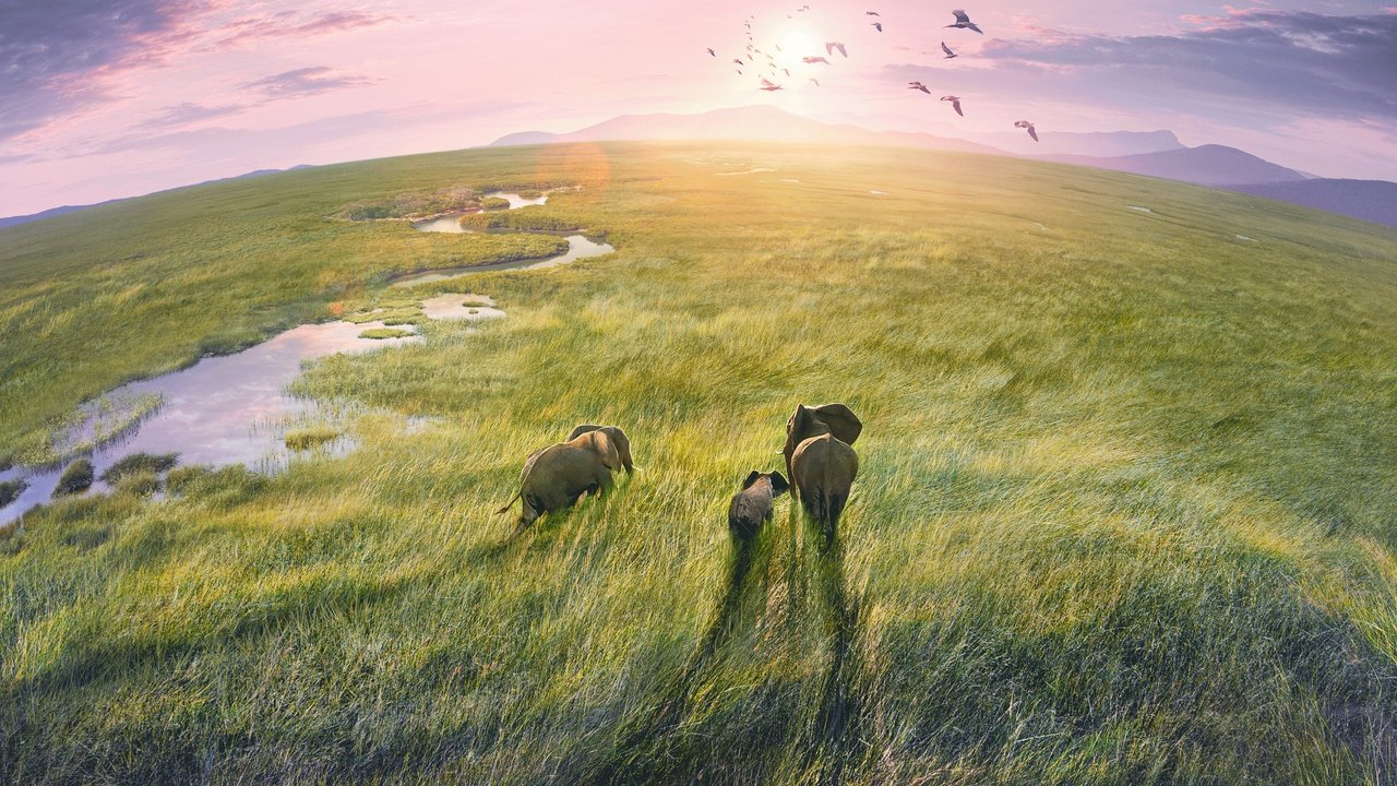 Planet Earth III backdrop