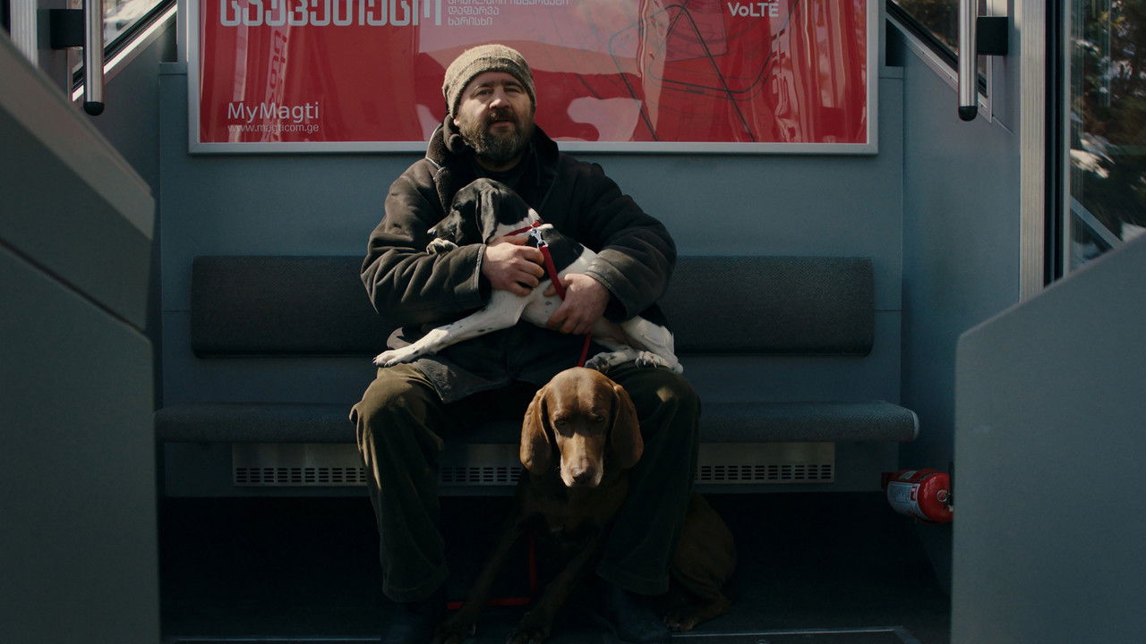 Snowflakes in my Yard backdrop