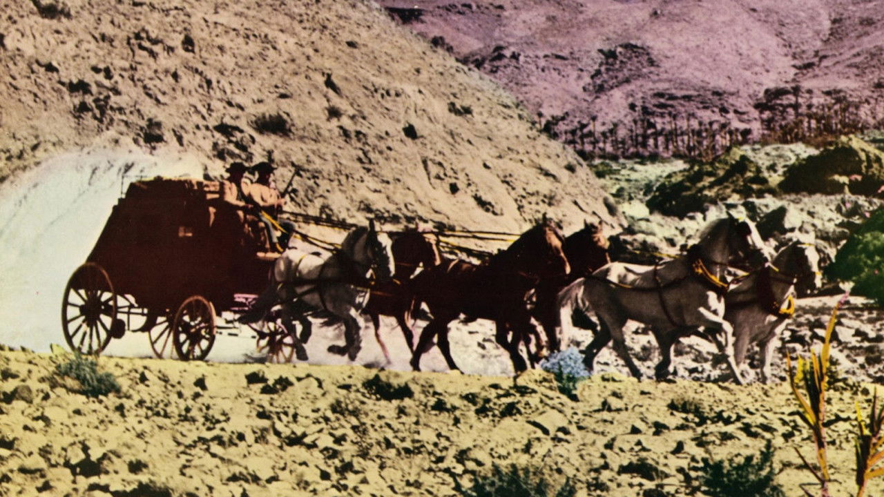 I Do Not Forgive... I Kill! backdrop