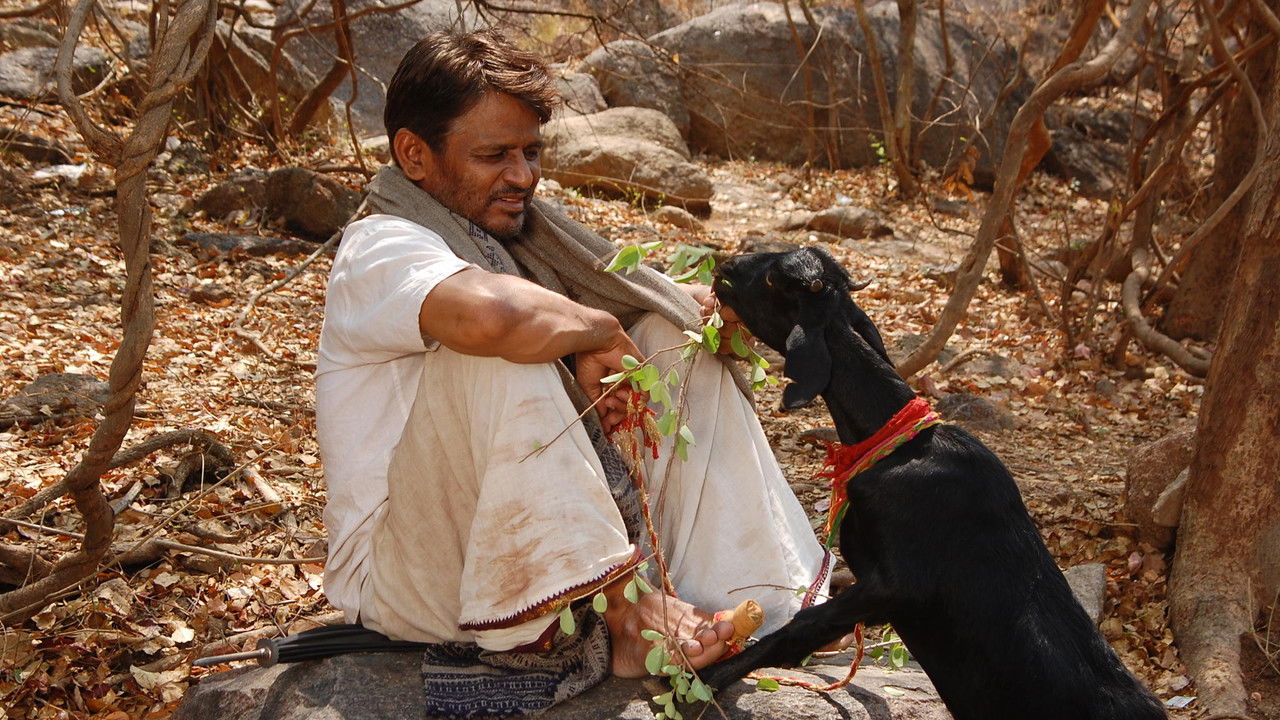Virgin Goat backdrop