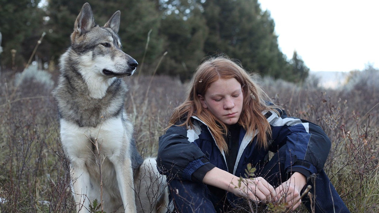 I Am Like You backdrop
