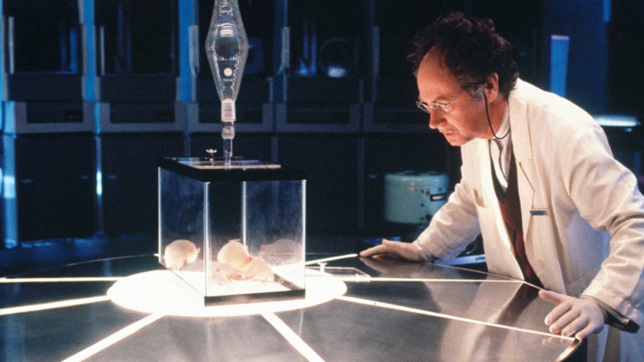 Golden Years backdrop