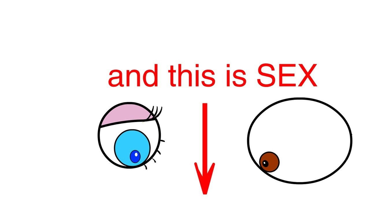 Sex and Fun backdrop