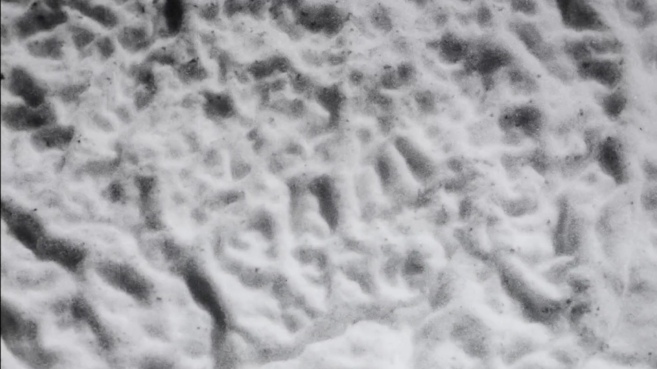 Solaris Mon Amour backdrop