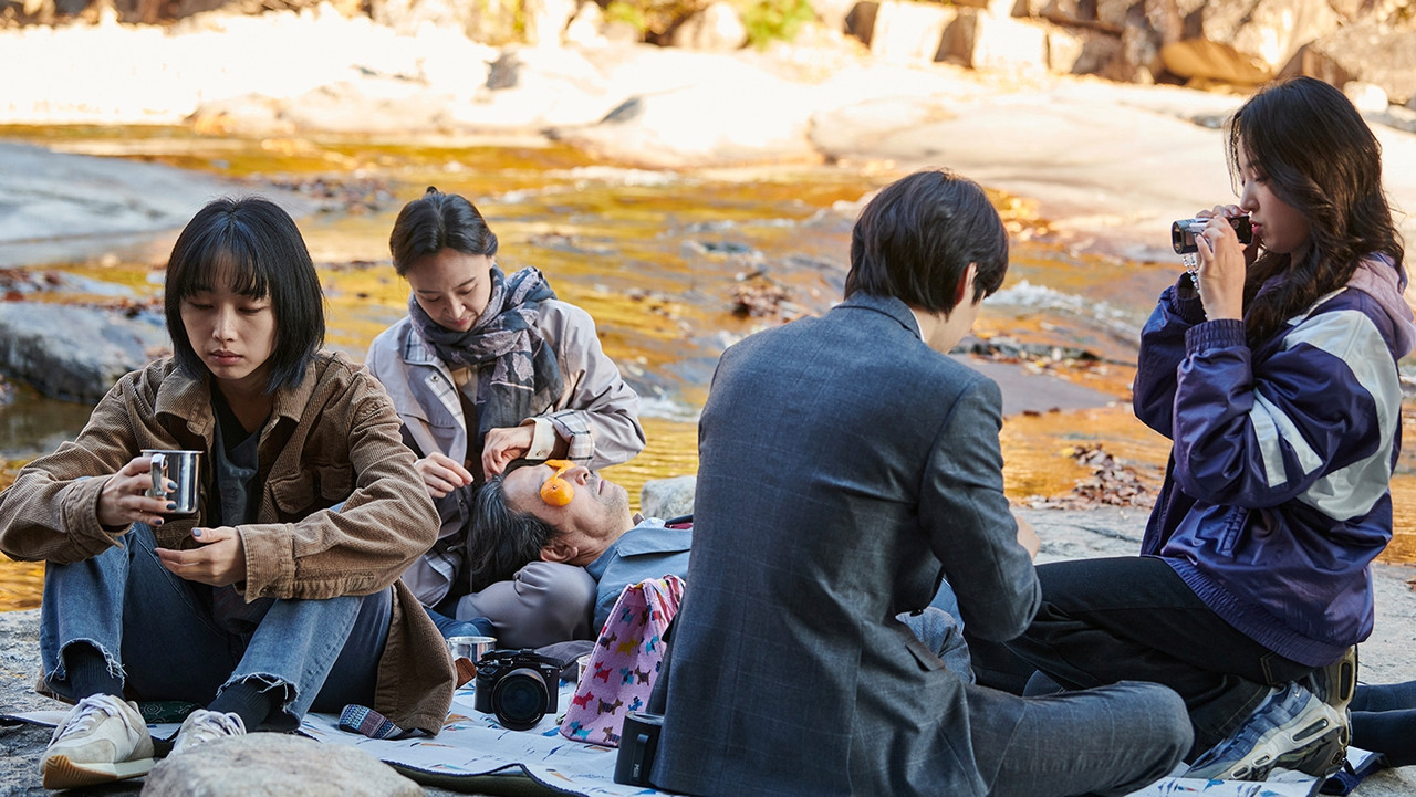Silver Apricot backdrop