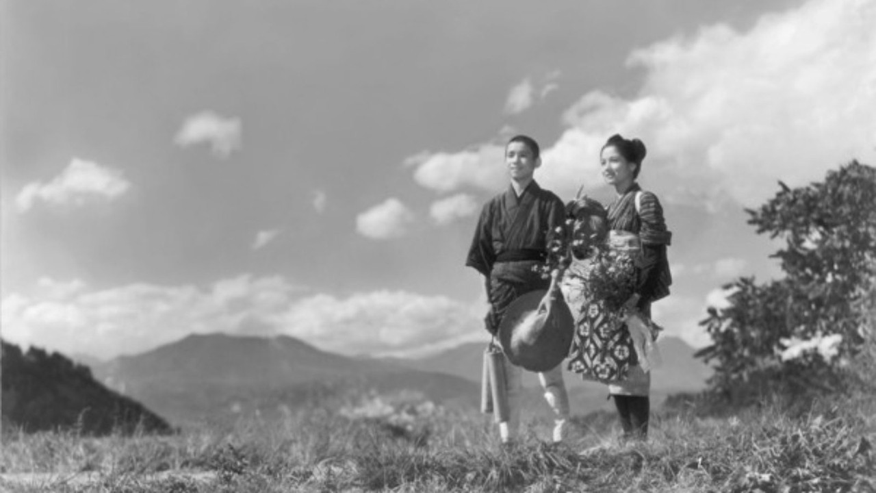 She Was Like a Wild Chrysanthemum backdrop