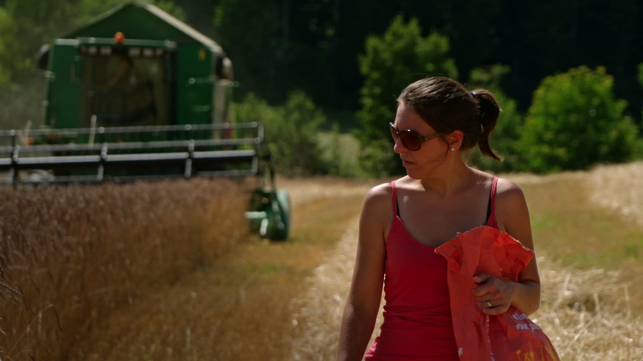 Fair Traders backdrop