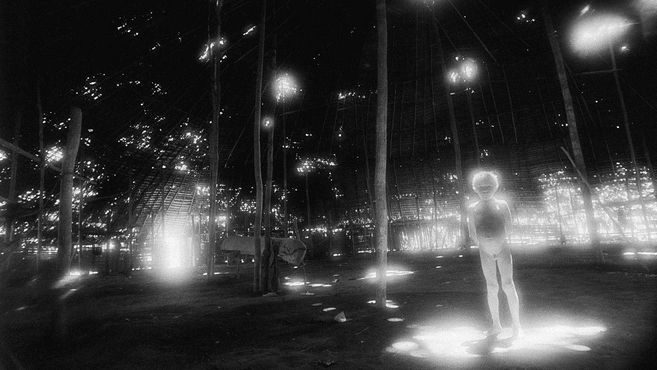 People of Moon, People of Blood: Yanomami document 1972-1982 backdrop