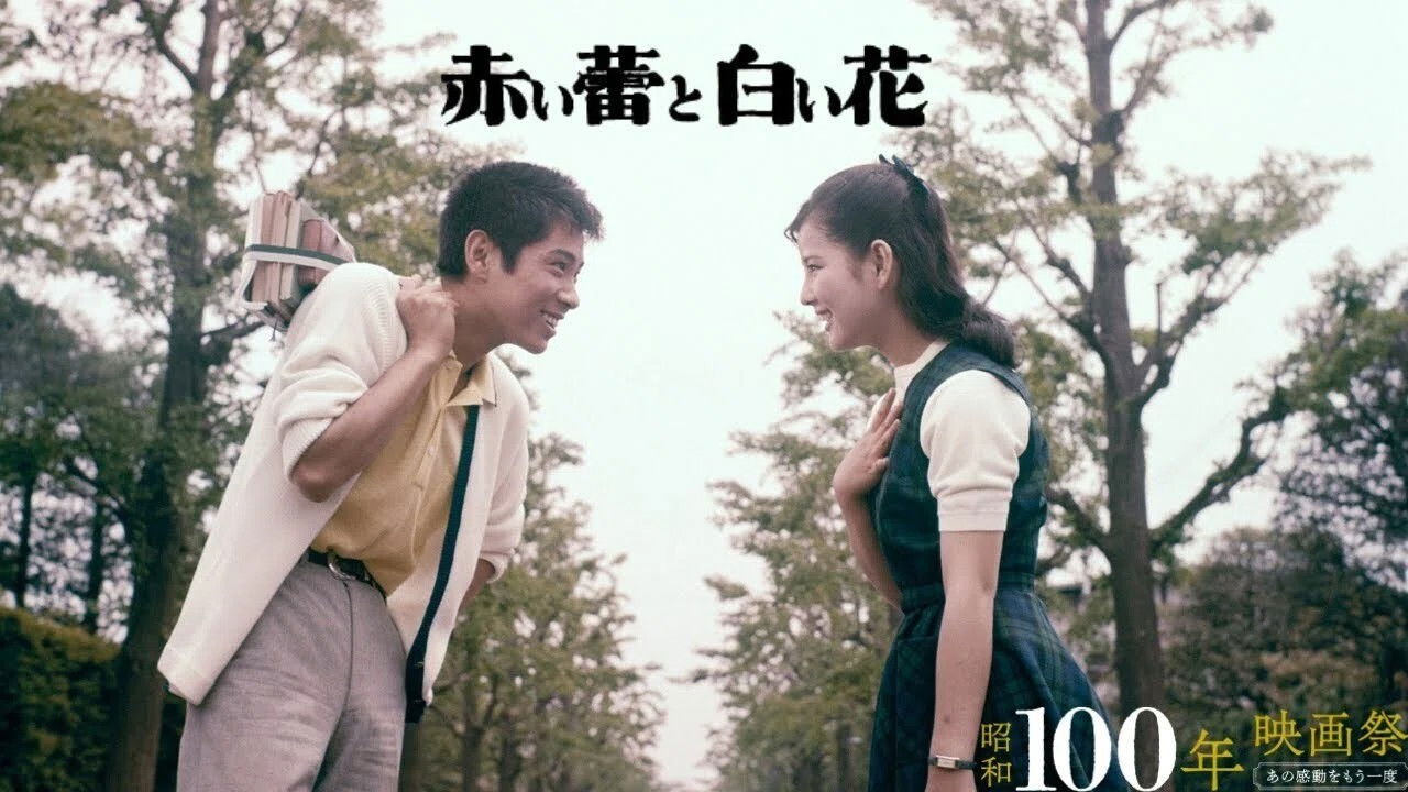 Red Bud and White Flower backdrop