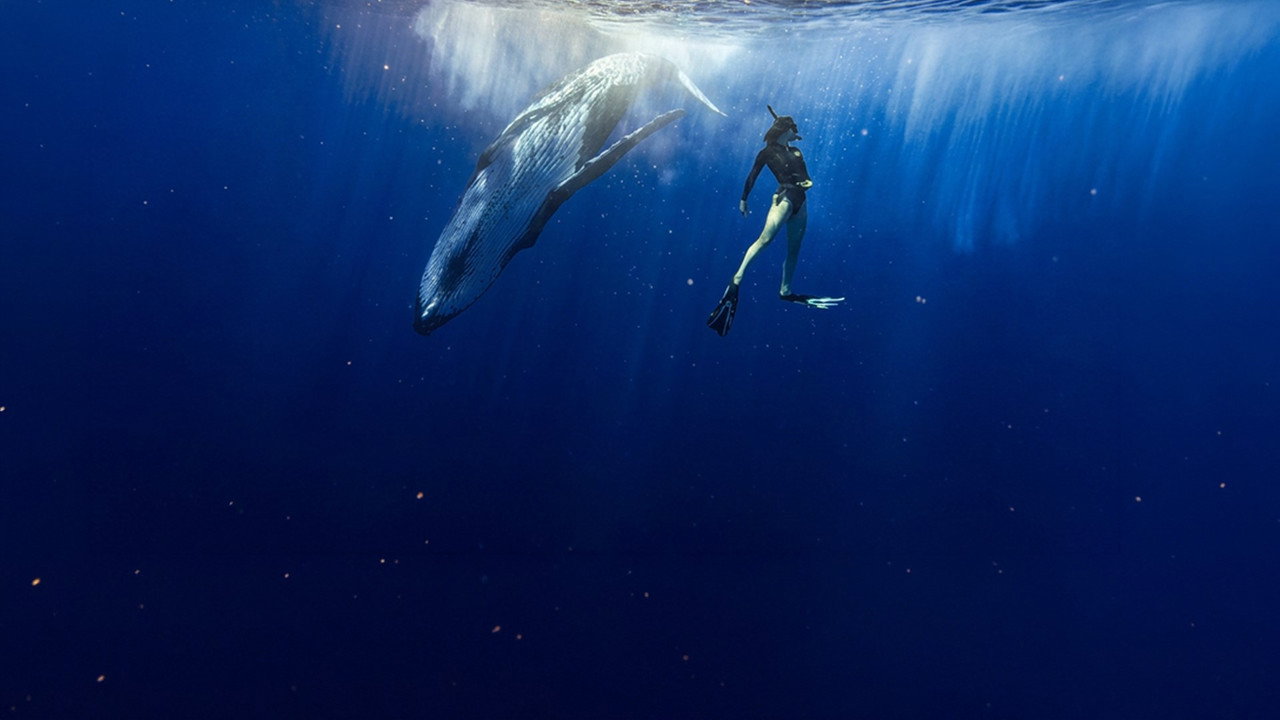 Le souffle de vie backdrop