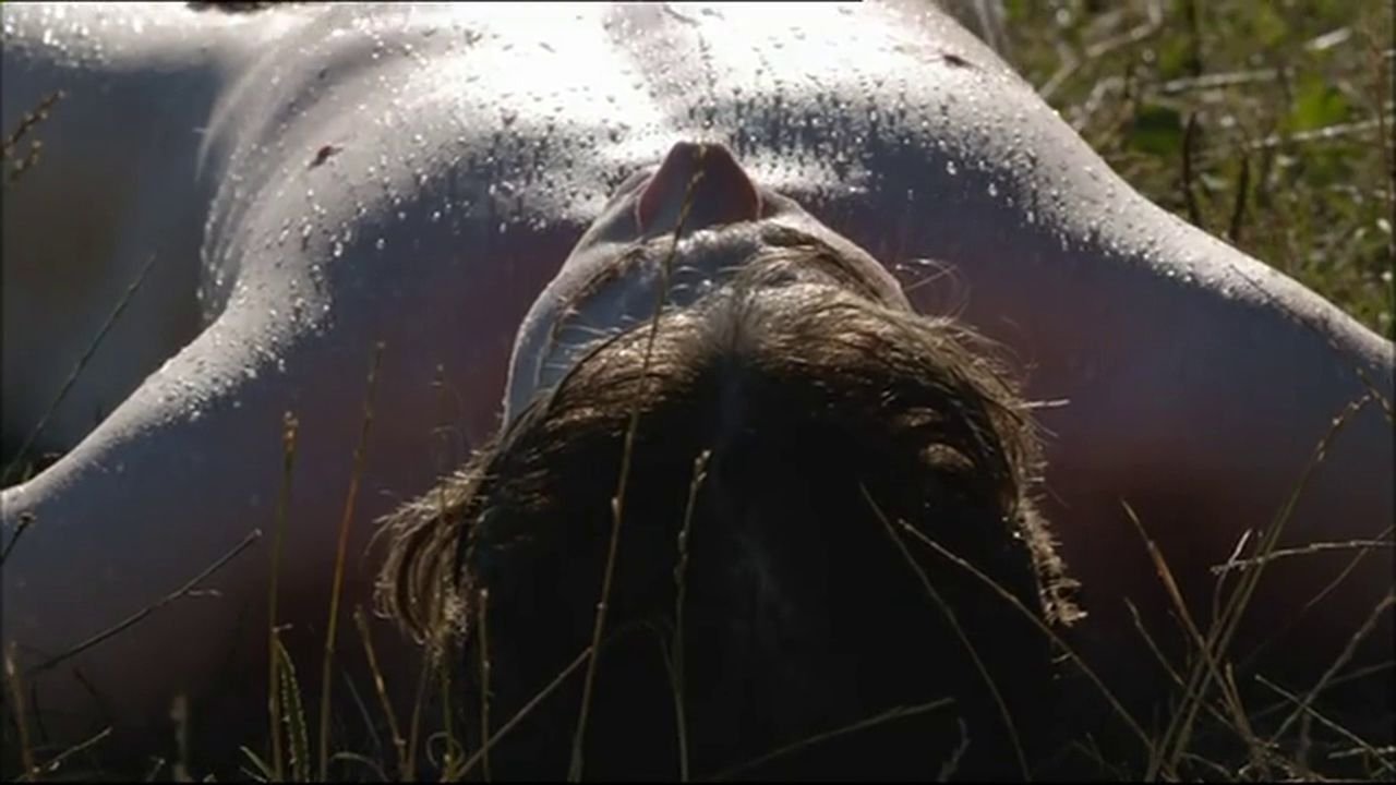 The First Summer backdrop