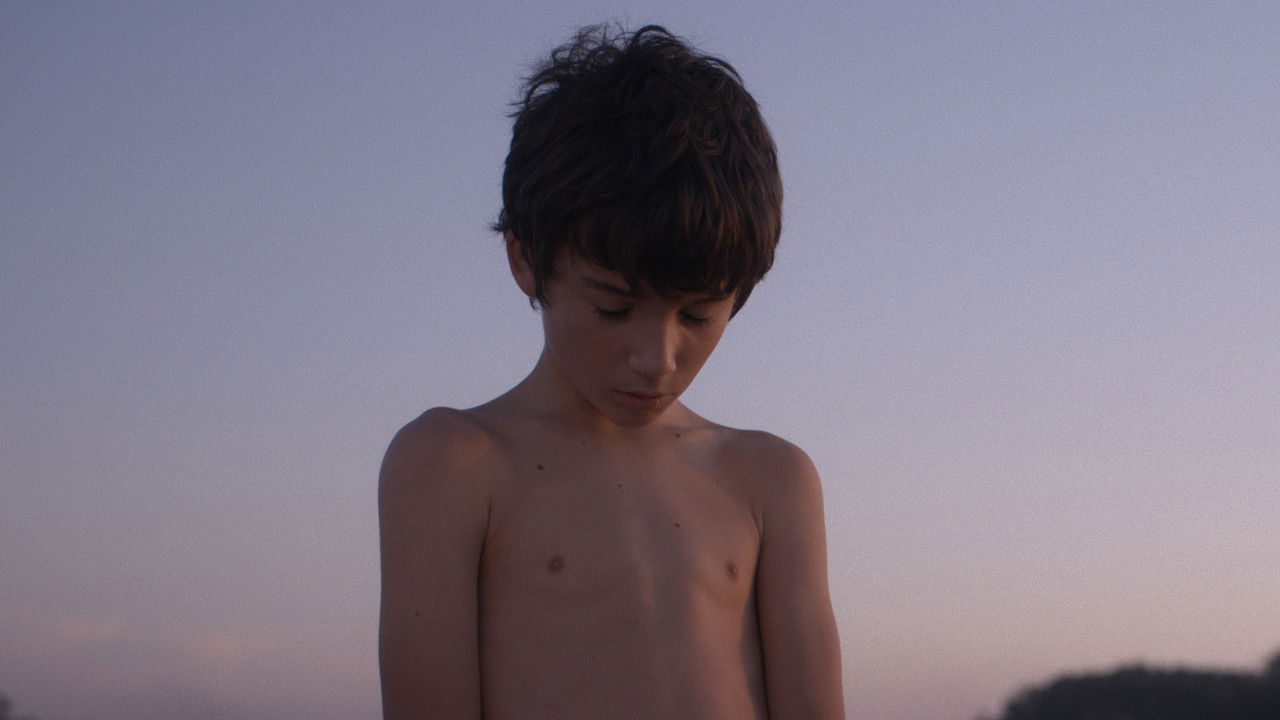 Through the Haze backdrop