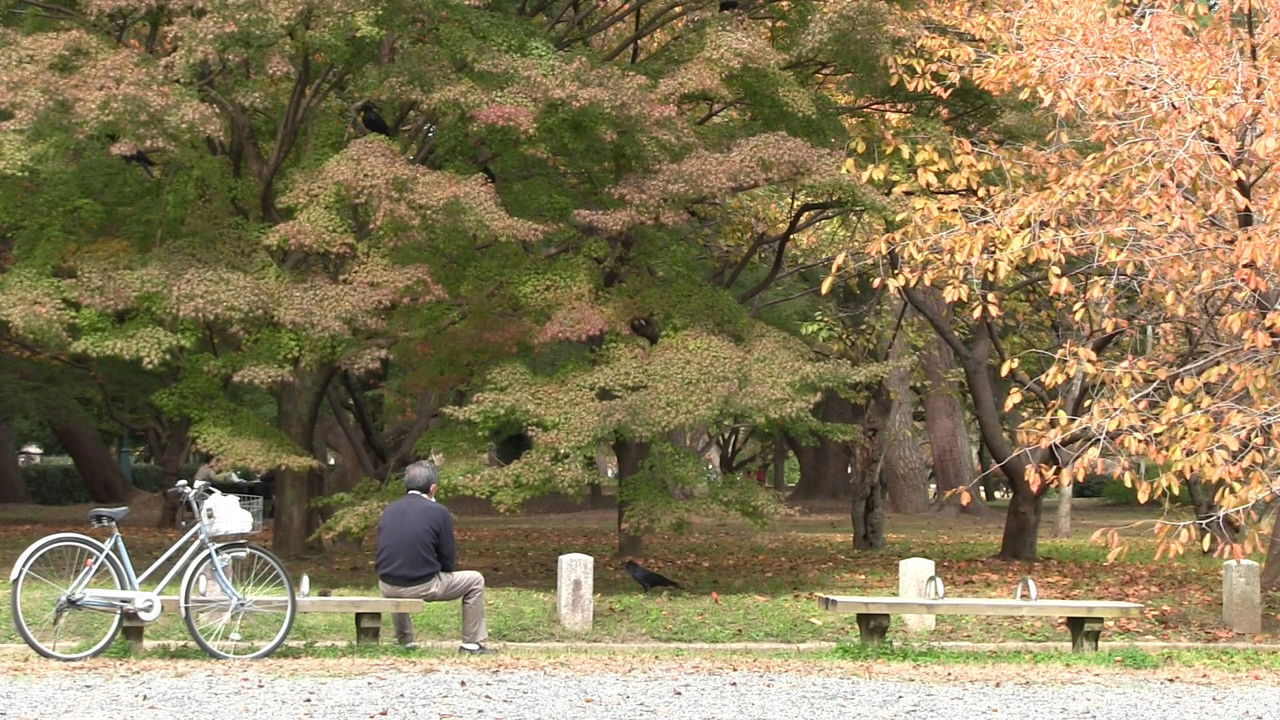Late Season backdrop