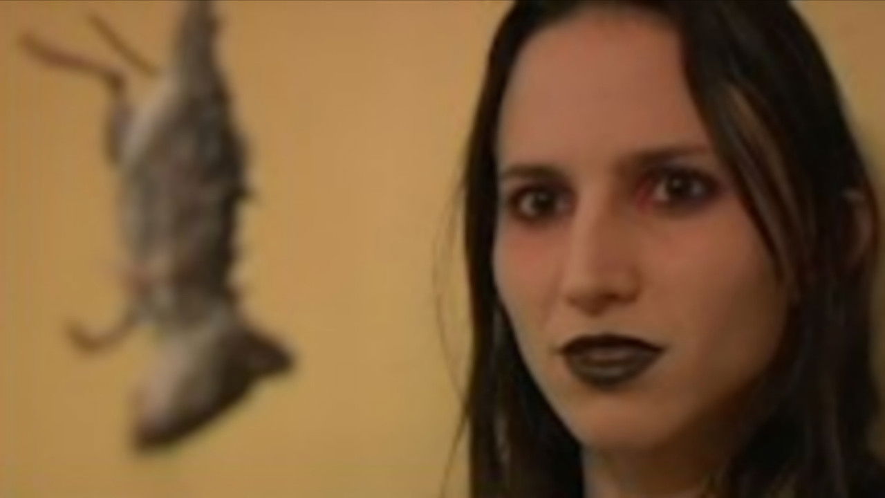 Almost Invisible backdrop