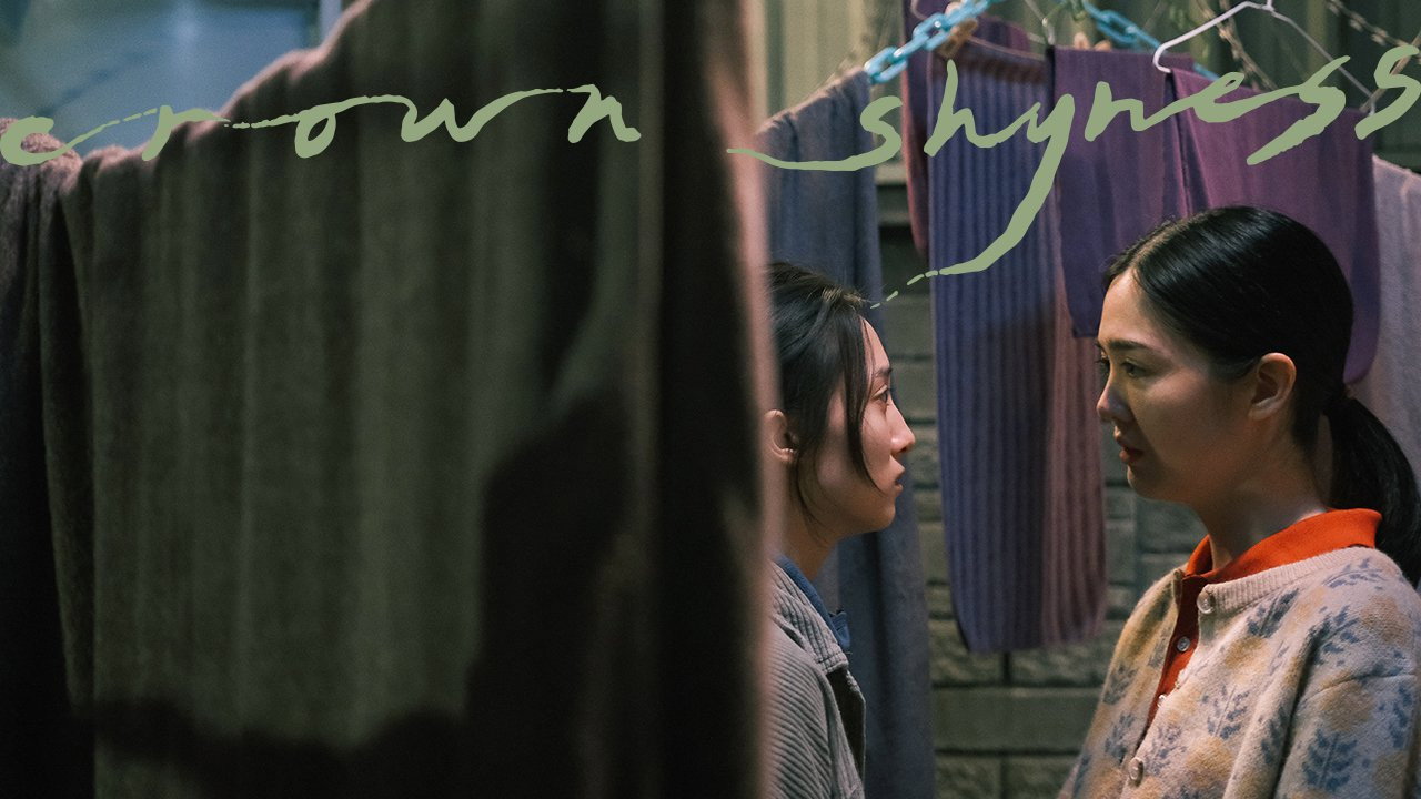 Crown Shyness backdrop