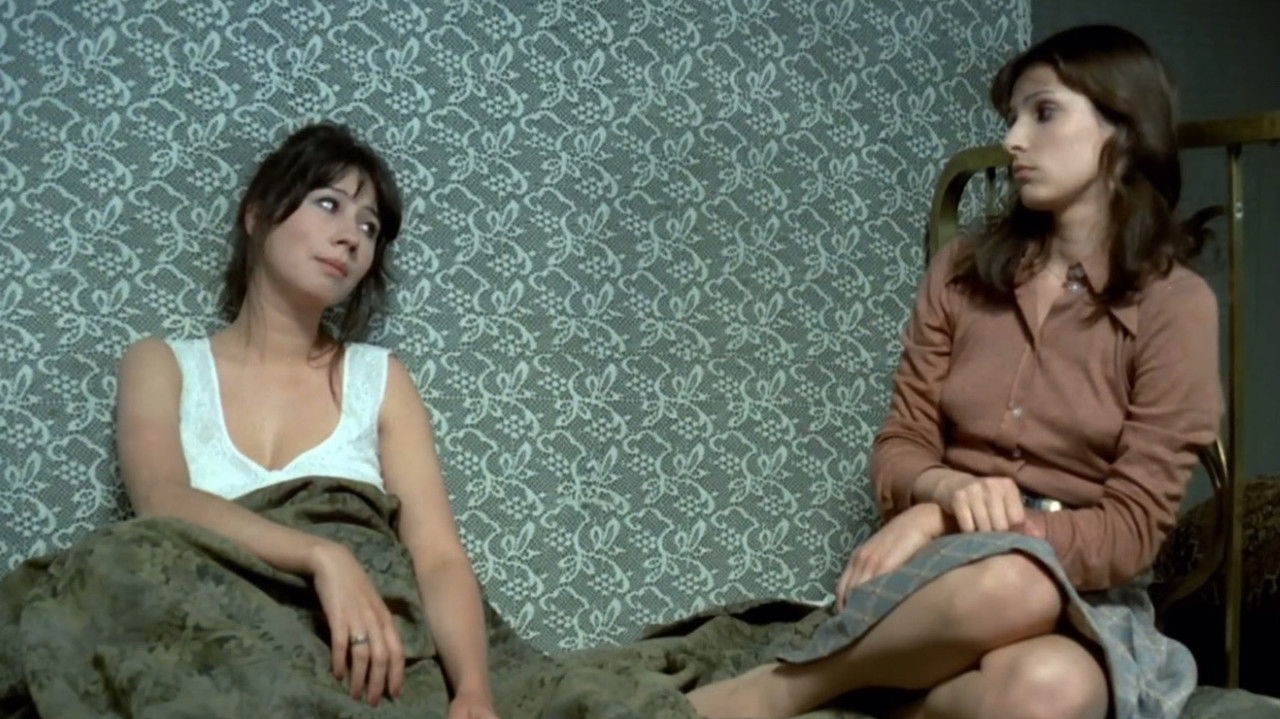 Postcards with Wildflowers backdrop