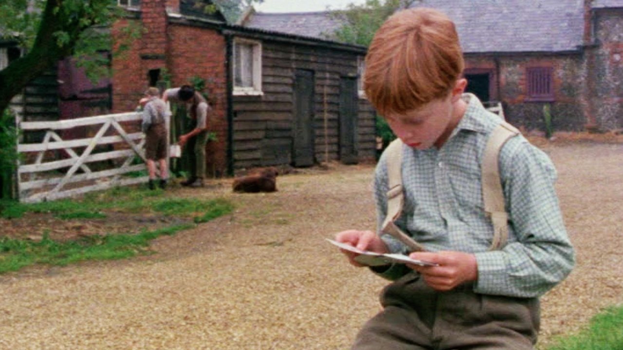 Friend or Foe backdrop