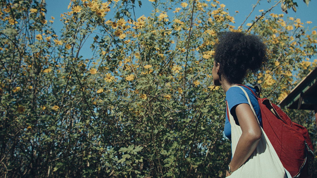 Dança dos Vagalumes backdrop