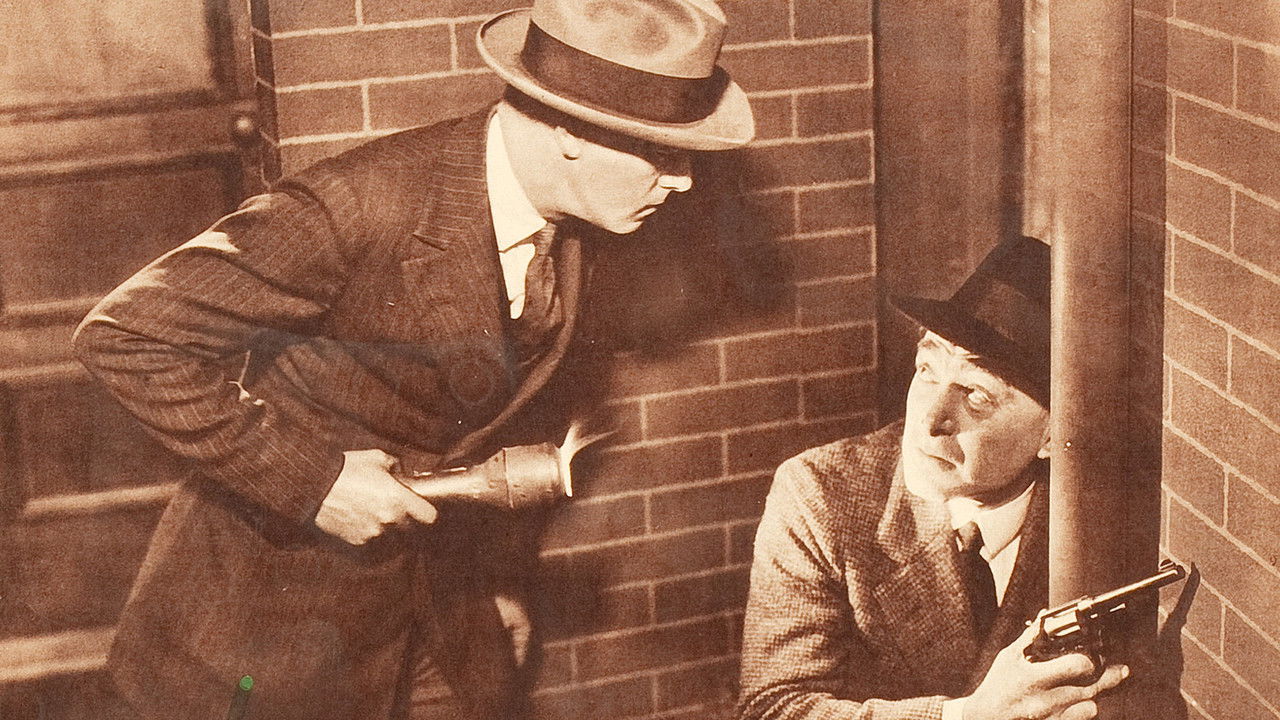 The Night Hawk backdrop