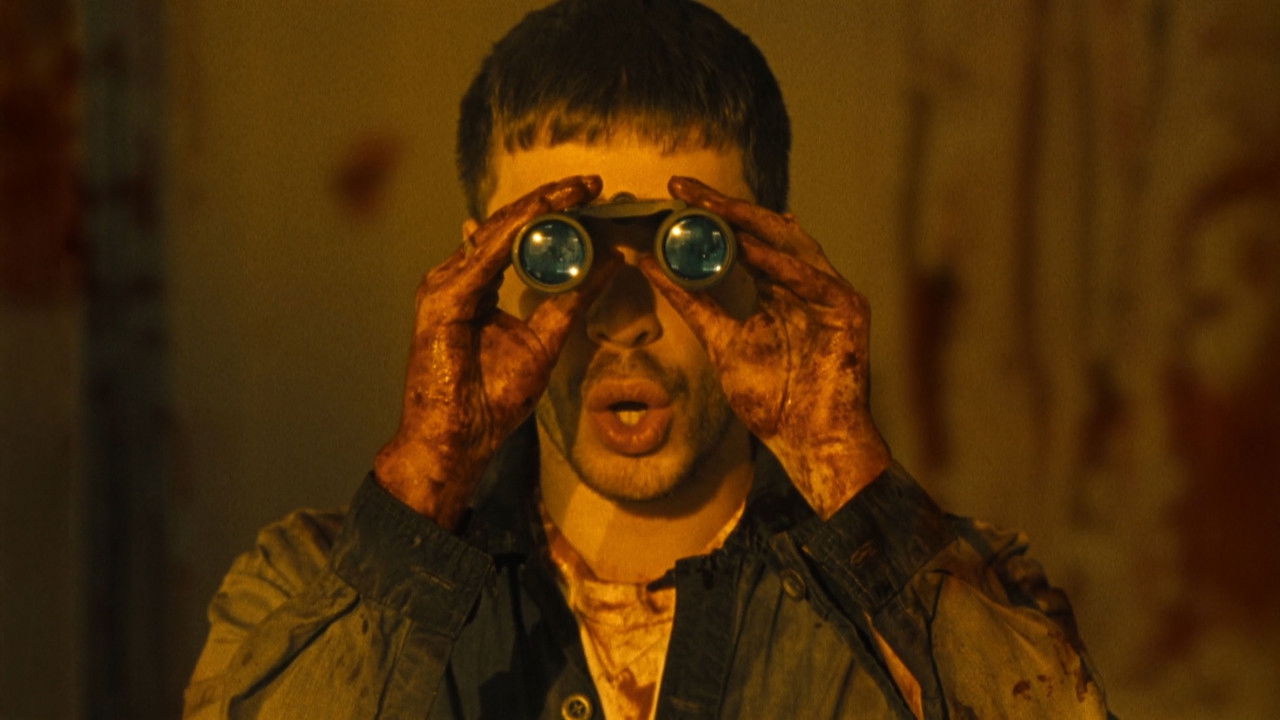 Husky – Never-someday backdrop