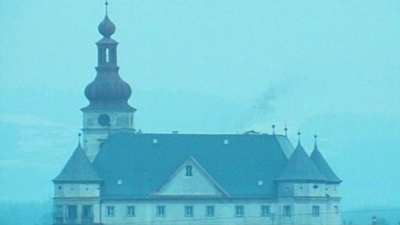 T4 - Hartheim 1 - Sterben und Leben im Schloß backdrop