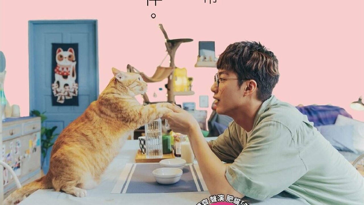 Fluffy Love backdrop