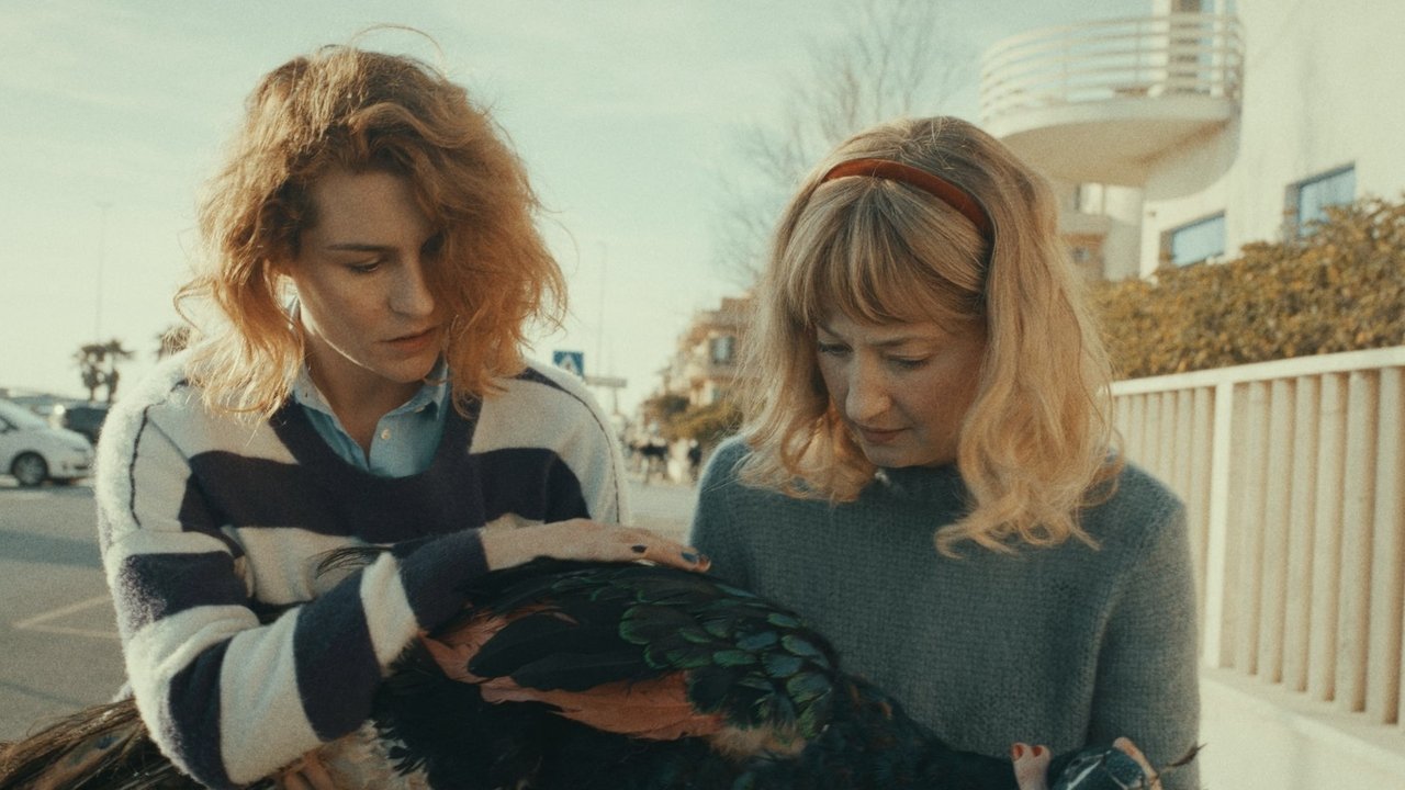 The Peacock’s Paradise backdrop