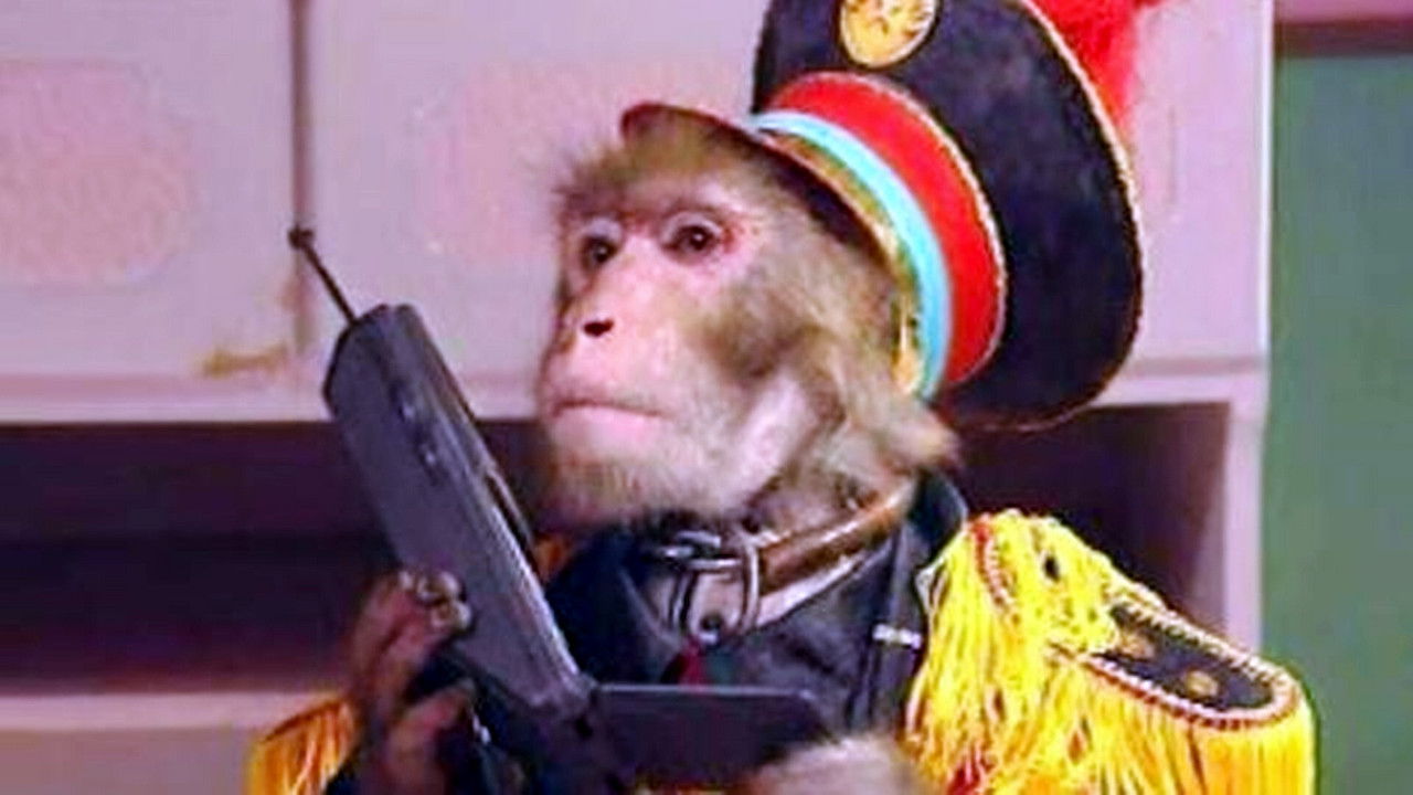 动物王国窃案 backdrop