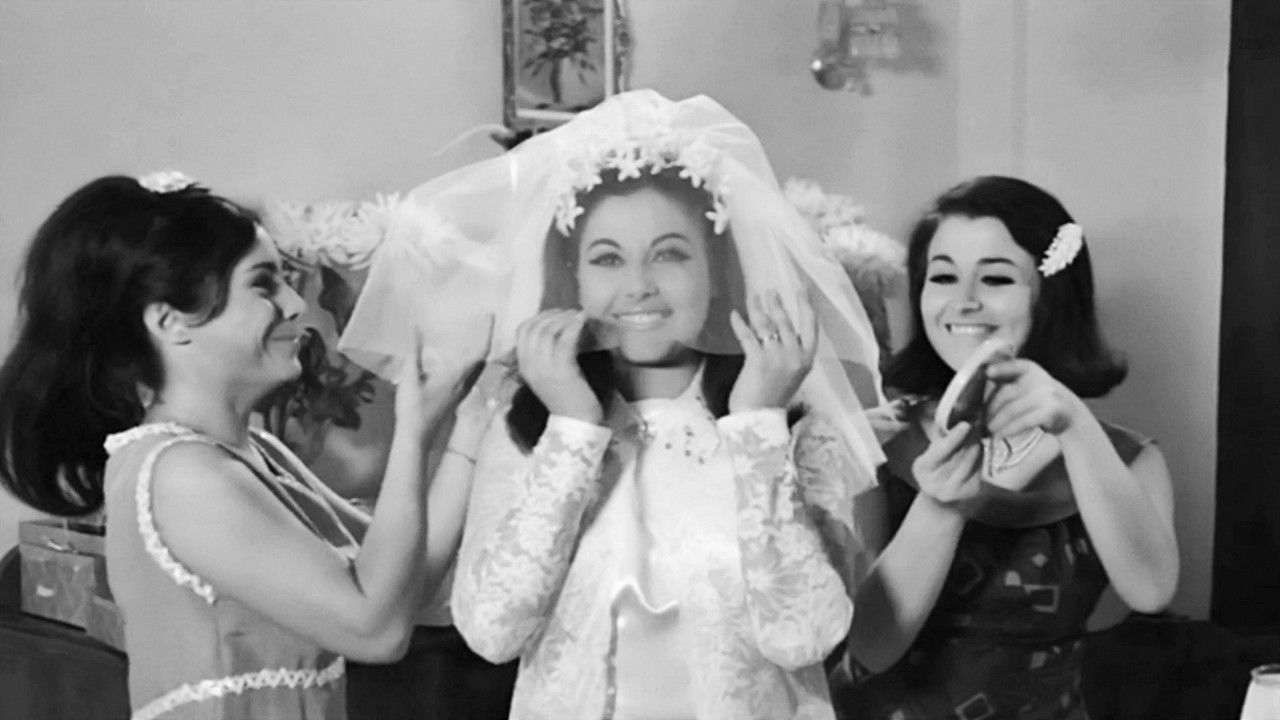 Crazy, Nuts and Vengos backdrop