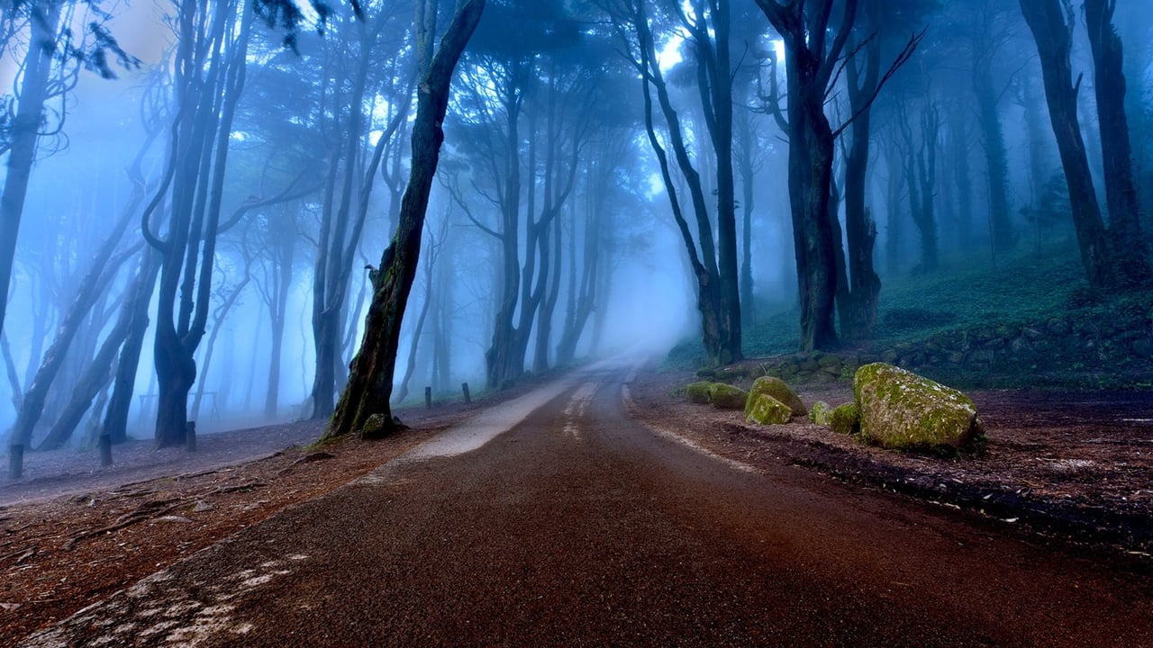 These Woods Are Haunted backdrop