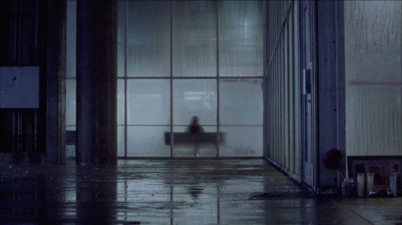 The Park Closes at Sunset. backdrop