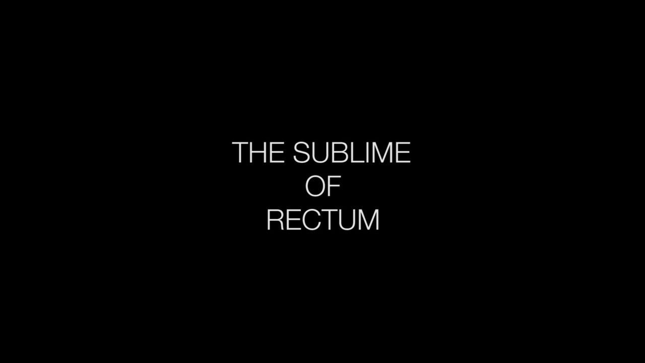 The Sublime of Rectum backdrop
