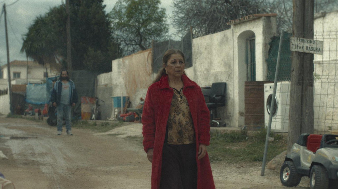 Mallorca Confidencial backdrop